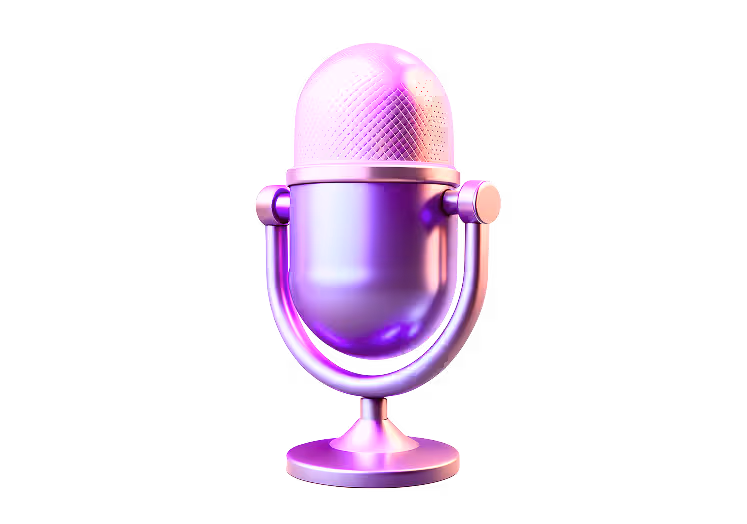 Allow Camera & Mic Access